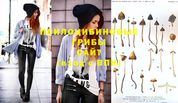 MESCALINE Шадринск